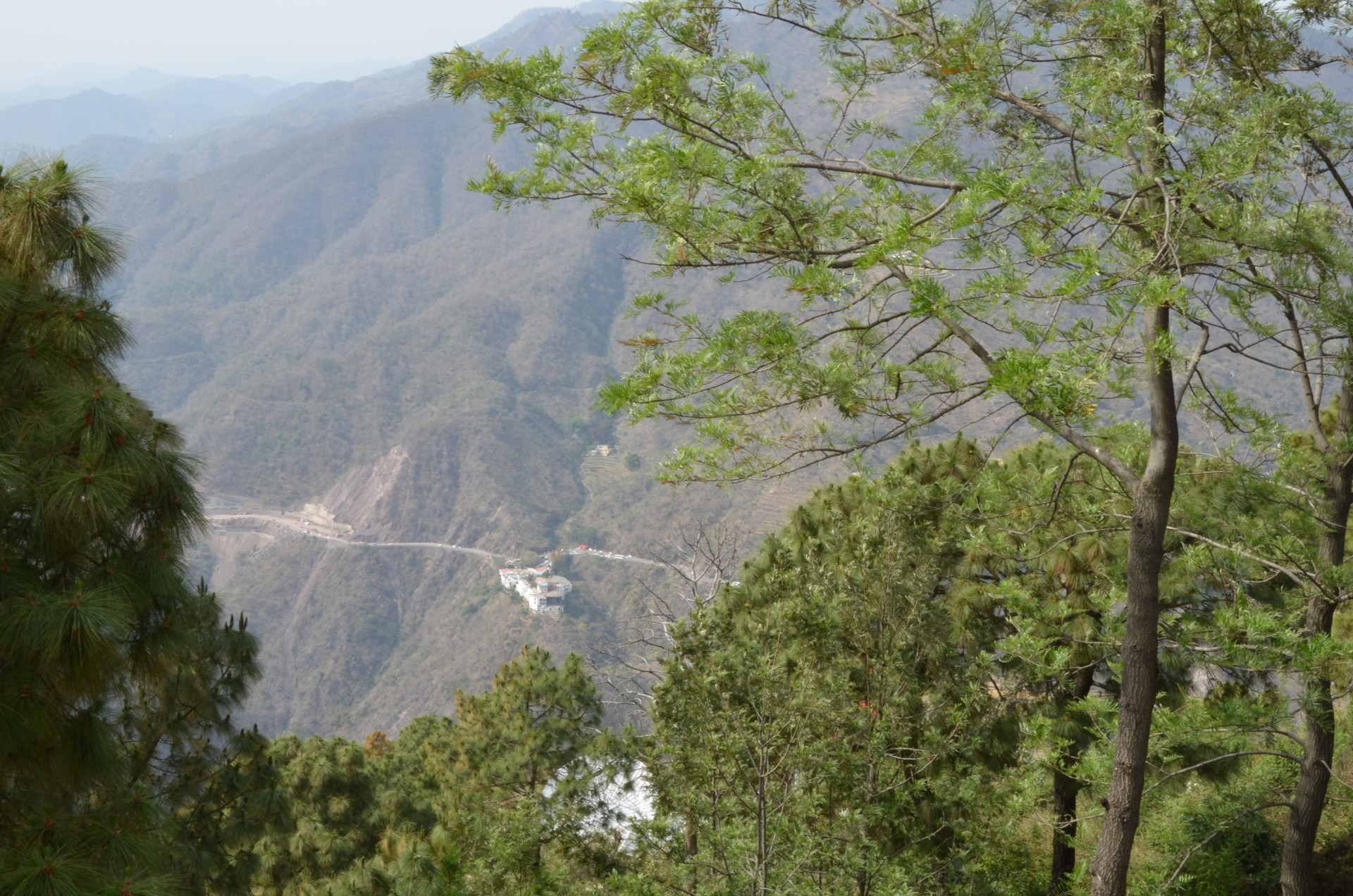 Timber Trail Resort Heights 1 cover